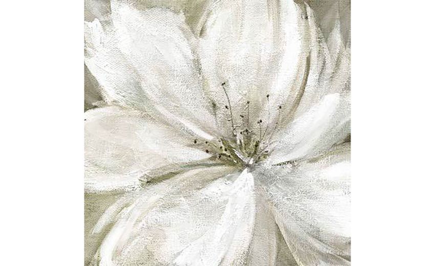 Fiore bianco canvas ritoccato a mano 80x80 cm---Canvas-80 cmx80 cm