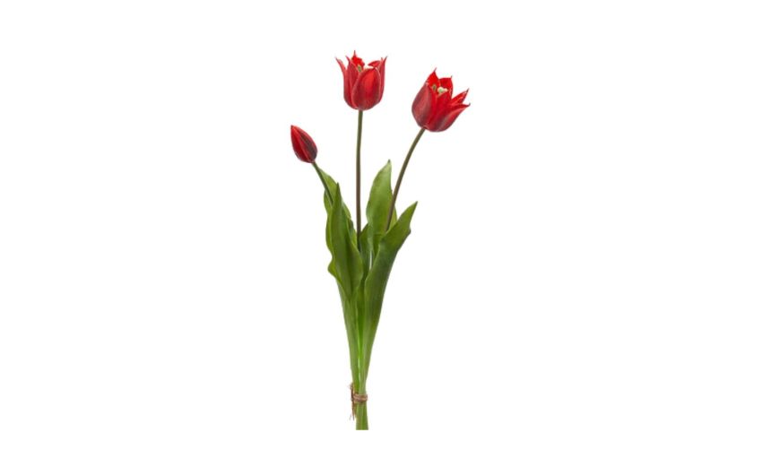 Mazzo 3 tulipani rosso h48--Rosso-Plastica