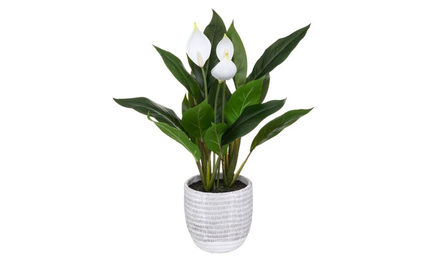 Spathiphyllum pianta artificiale con vaso h54 cm- -Verde-Polietilene
