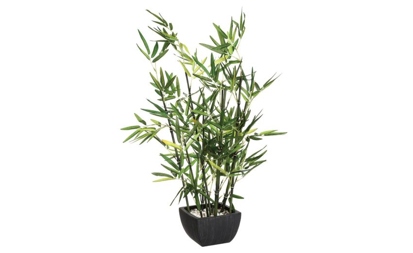 Bamboo pianta artificiale con vaso H67 cm- -Verde-Poliestere-67 cmx43 cm Bamboo pianta artificiale con vaso H67 cm- -Verde-Poliestere-67 cmx43 cm