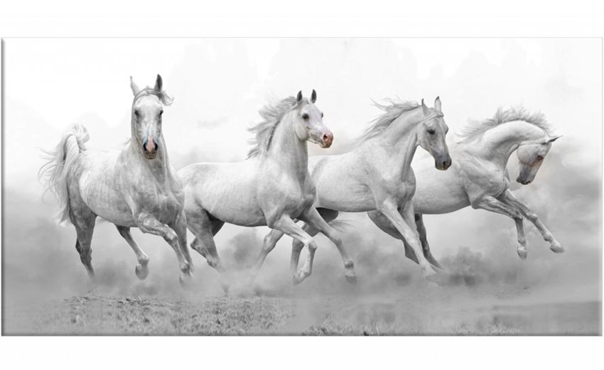 Horses canvas animali artistico 122x52 cm- -Bianco-Pannello-52 cmx122 cm Horses canvas animali artistico 122x52 cm- -Bianco-Pannello-52 cmx122 cm