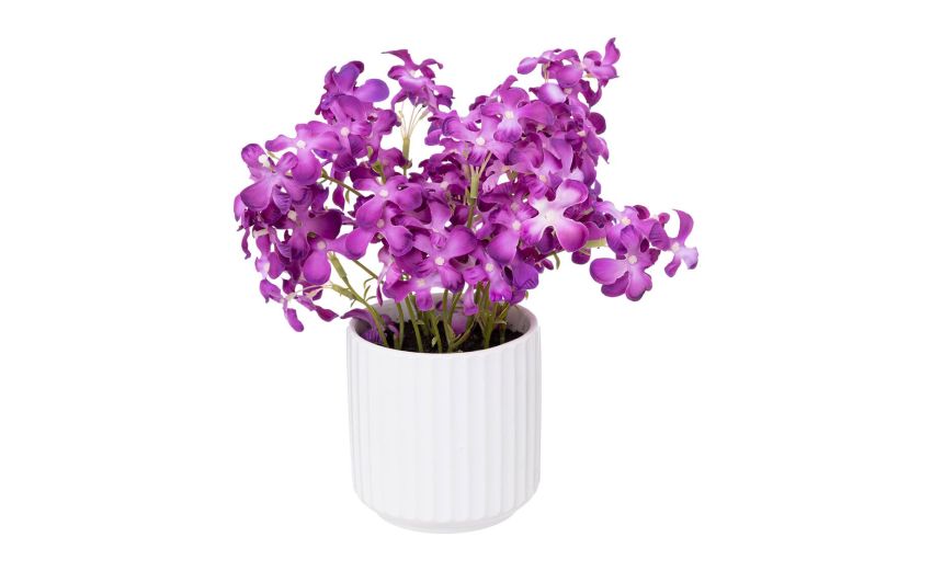Violette pianta artificiale con vaso Ø22x27 cm- -Viola-Poliestere Violette pianta artificiale con vaso Ø22x27 cm- -Viola-Poliestere