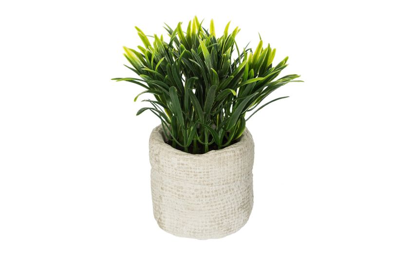 Pianta verde con vaso in cemento Ø12 cm--Verde-Cemento Pianta verde con vaso in cemento Ø12 cm--Verde-Cemento