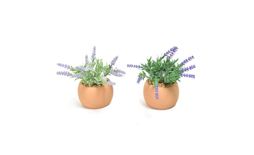 Lavanda pianta in vaso di cemento h16 cm--Verde-Plastica Lavanda pianta in vaso di cemento h16 cm--Verde-Plastica
