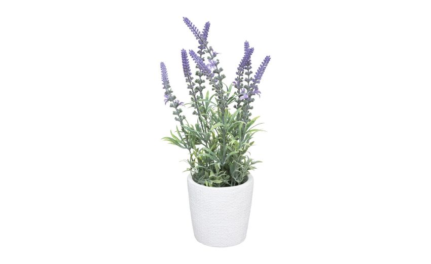 Pianta lavanda con vaso cemento h34 cm --Bianco-Polietilene-34 cmx21 cm Pianta lavanda con vaso cemento h34 cm --Bianco-Polietilene-34 cmx21 cm