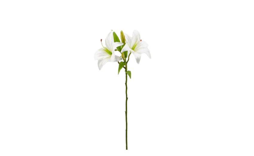 Lilium ramo con 2 fiori bianchi h66--Bianco-Plastica Lilium ramo con 2 fiori bianchi h66--Bianco-Plastica