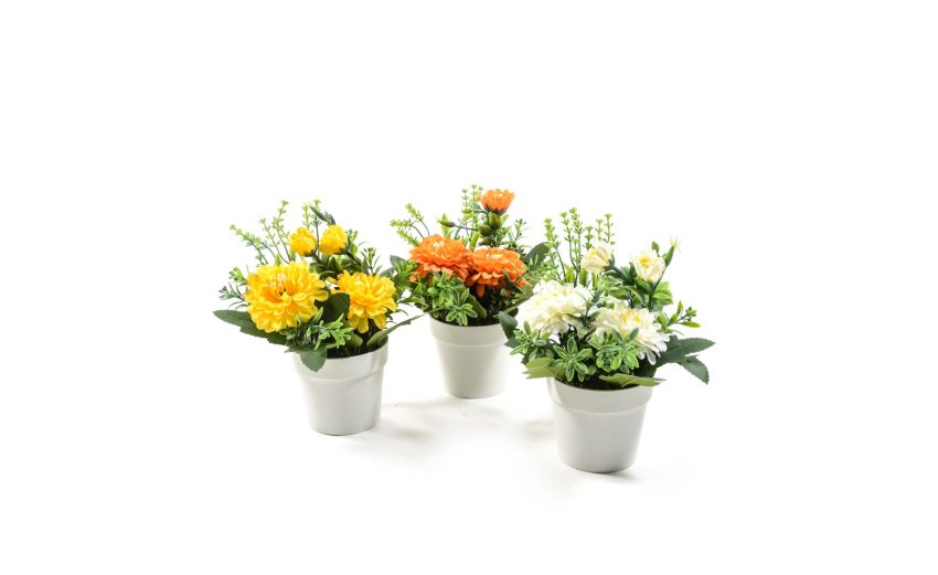 Pianta fiorita in vaso h19 cm--Multicolore-Plastica