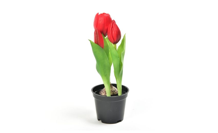 Tulipano rosso in gomma in vaso h21 cm--Rosso-Gomma Tulipano rosso in gomma in vaso h21 cm--Rosso-Gomma