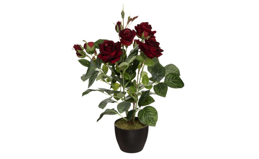 Rose Velluto pianta artificiale con vaso H43 cm- --Polietilene Rose Velluto pianta artificiale con vaso H43 cm- --Polietilene