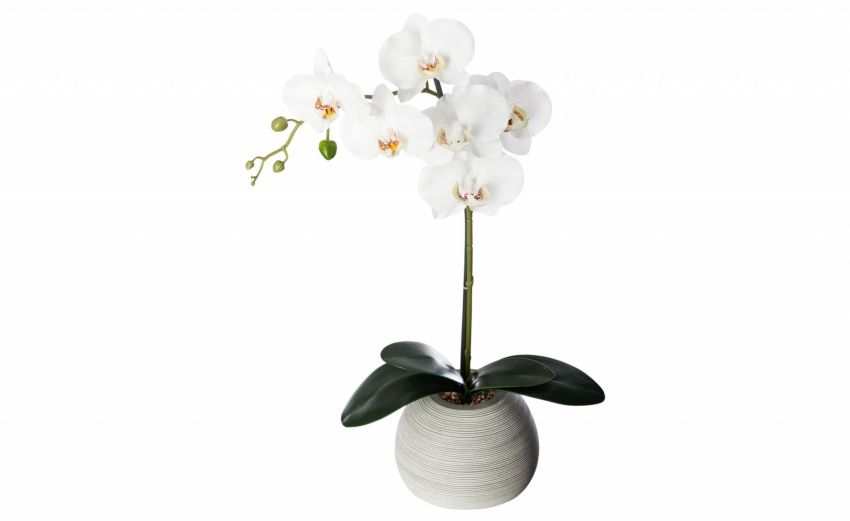 Orchidea pianta artificiale vaso bianco H53 cm- -Bianco-Plastica