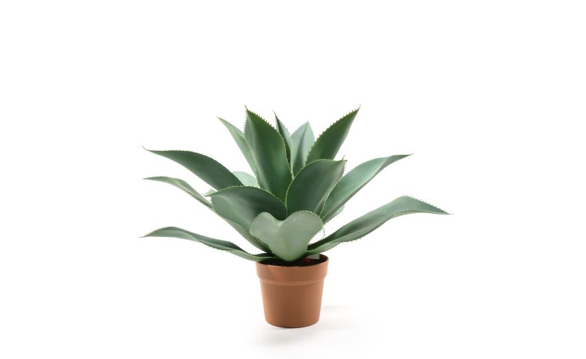 Agave pianta in vaso h45 cm--Verde-Plastica Agave pianta in vaso h45 cm--Verde-Plastica