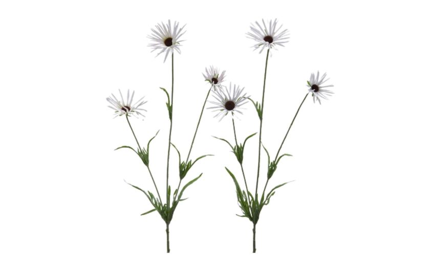 Rudbeckia ramo bianco con foglie h70--Bianco-Plastica