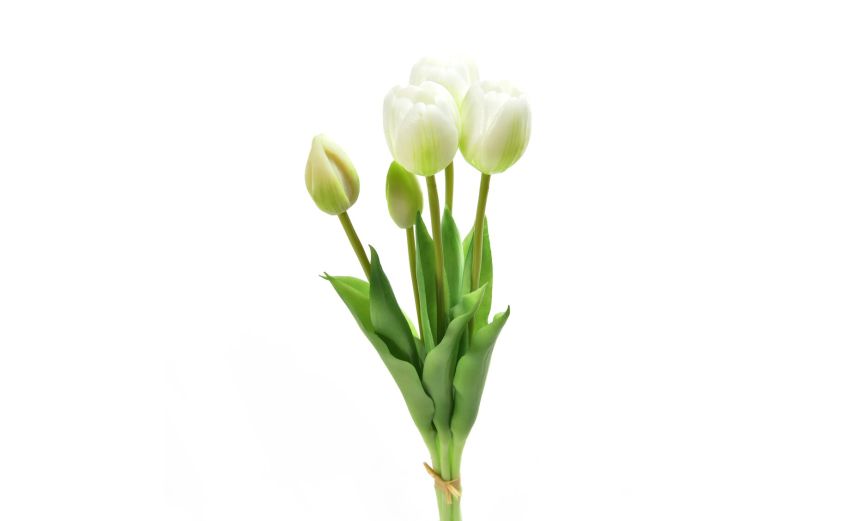 Mazzo 5 tulipani bianchi h39 cm--Bianco-Gomma
