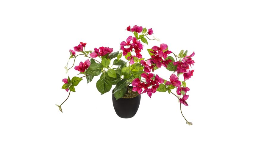 Pianta bouganville in vaso L76 cm---Poliestere Pianta bouganville in vaso L76 cm---Poliestere