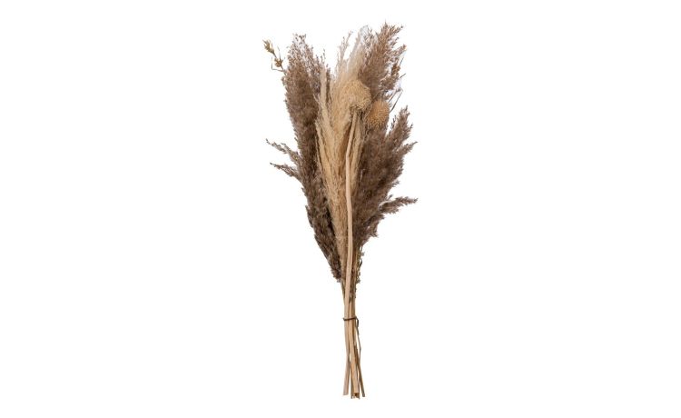 Bouquet Pampa fiori e rami secchi avorio H58 cm- -Beige-Piante secche
