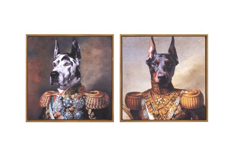 Stampa dog assortita 40x40 cm--Multicolore-Tela-40 cmx40 cm