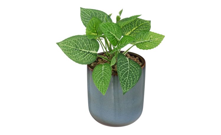Pianta verde in vaso gres blu Ø9 cm--Verde-Polietilene