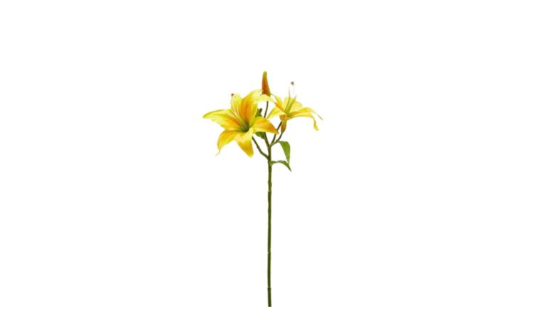 Lilium ramo con 2 fiori gialli  h66--Giallo-Plastica