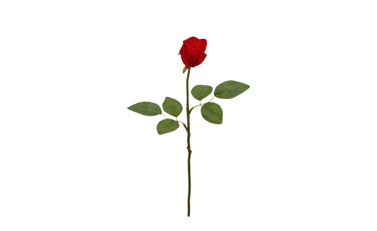 Rosa vell con ramo h46--Rosso-Plastica