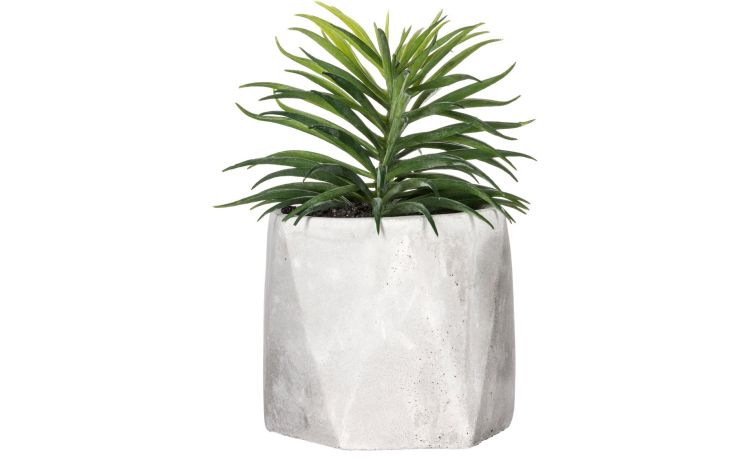 Pianta grassa artificiale in vaso cemento H17 cm--Verde-Pvc