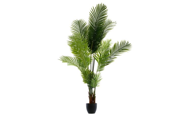 Palma pianta artificiale con vaso H170 cm- -Verde-Polietilene
