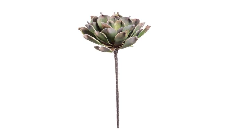 Echeveria ramo artificiale verde sfumato H60 cm--Verde-Pvc