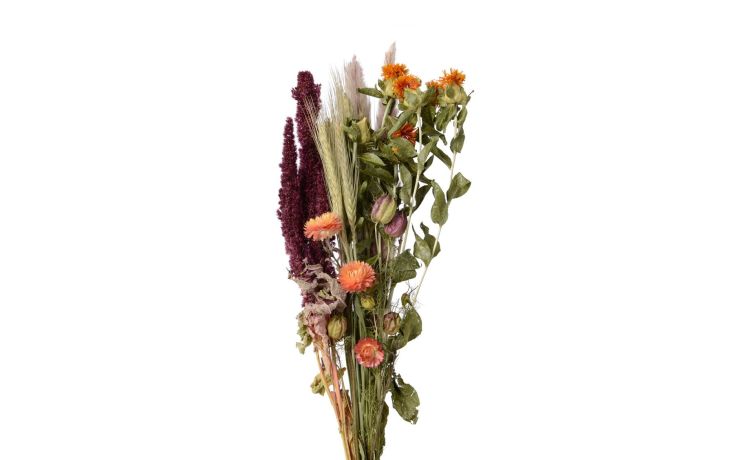 Taty bouquet fiori secchi H55 cm- --Piante secche