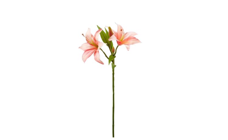 Lilium ramo con 2 fiori rosa h66--Rosa-Plastica
