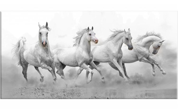 Horses canvas animali artistico 122x52 cm- -Bianco-Pannello-52 cmx122 cm