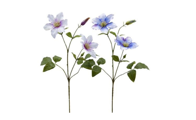 Clematis ramo con foglie con bocciolo malva h74--Multicolore-Plastica