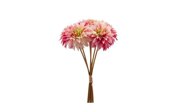 Dalia mazzo 6 fiori rosa  h40--Rosa-Plastica