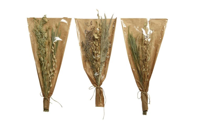 Lily bouquet fiori secchi H68 cm- --Piante secche