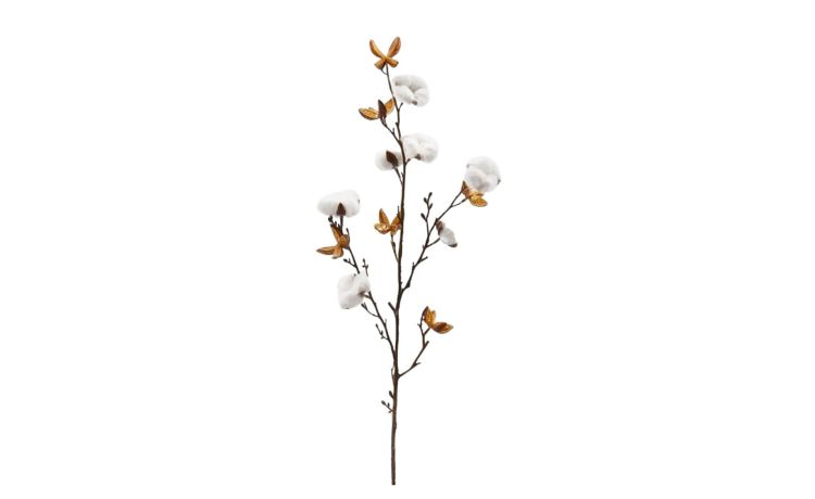 Cotone olis ramo bianco x3 h81--Bianco