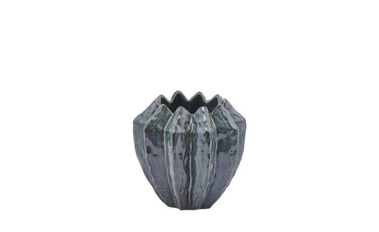 Vaso freaky agave h19