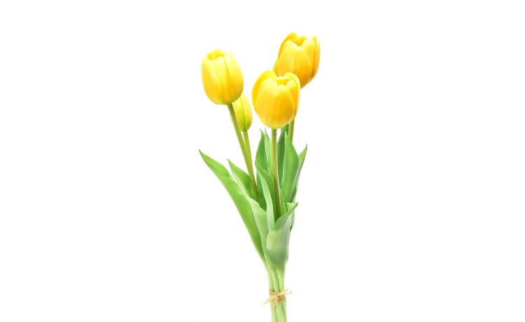 Mazzo di 5 tulipani gialli h39 cm --Giallo-Gomma