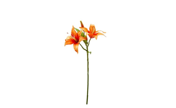 Lilium ramo con 2 fiori arancioni h66--Arancione-Plastica