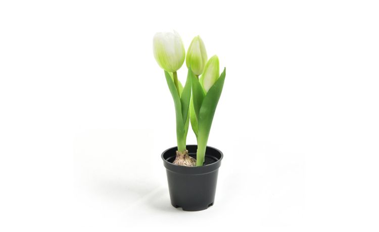 Tulipano bianco in gomma in vaso h21 cm--Bianco-Gomma