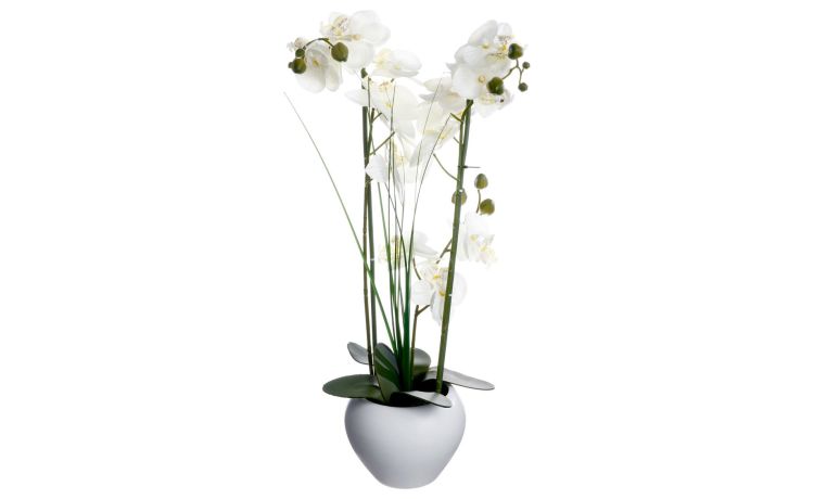 Orchidea con vaso bianco H53 cm--Bianco-Pvc-53 cmx50 cm