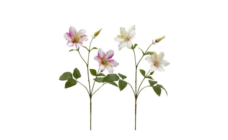 Clematis ramo con foglie con bocciolo rosa h74--Rosa-Plastica